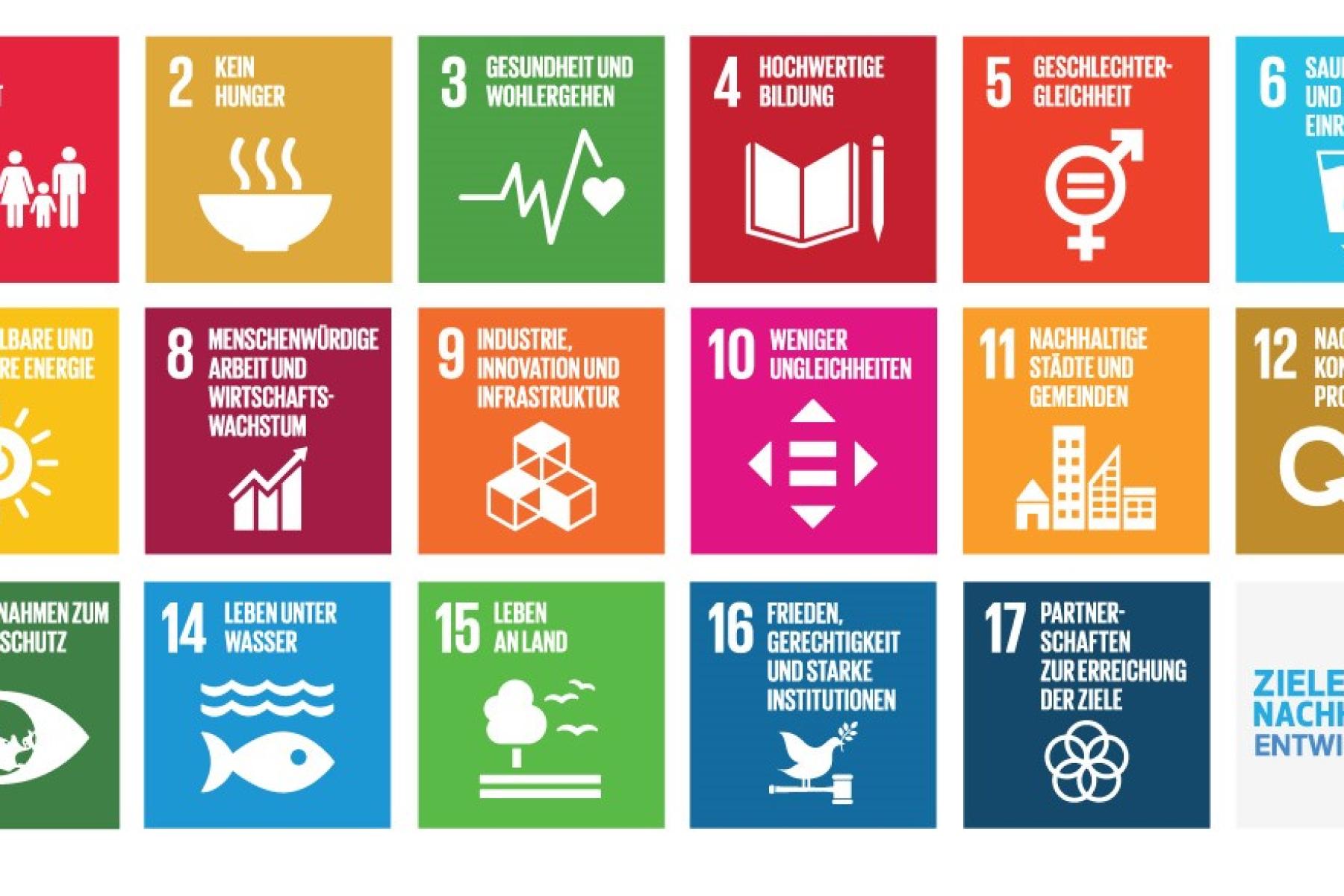 SDGs