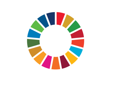 SDG-Wheel