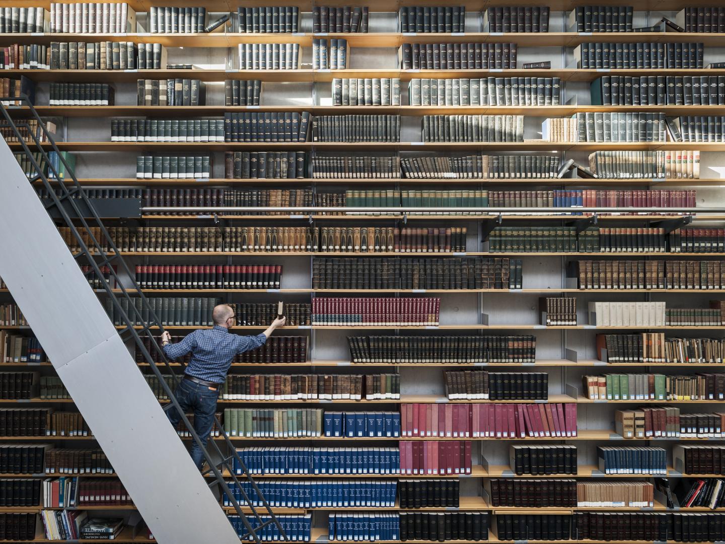 Bücherwand